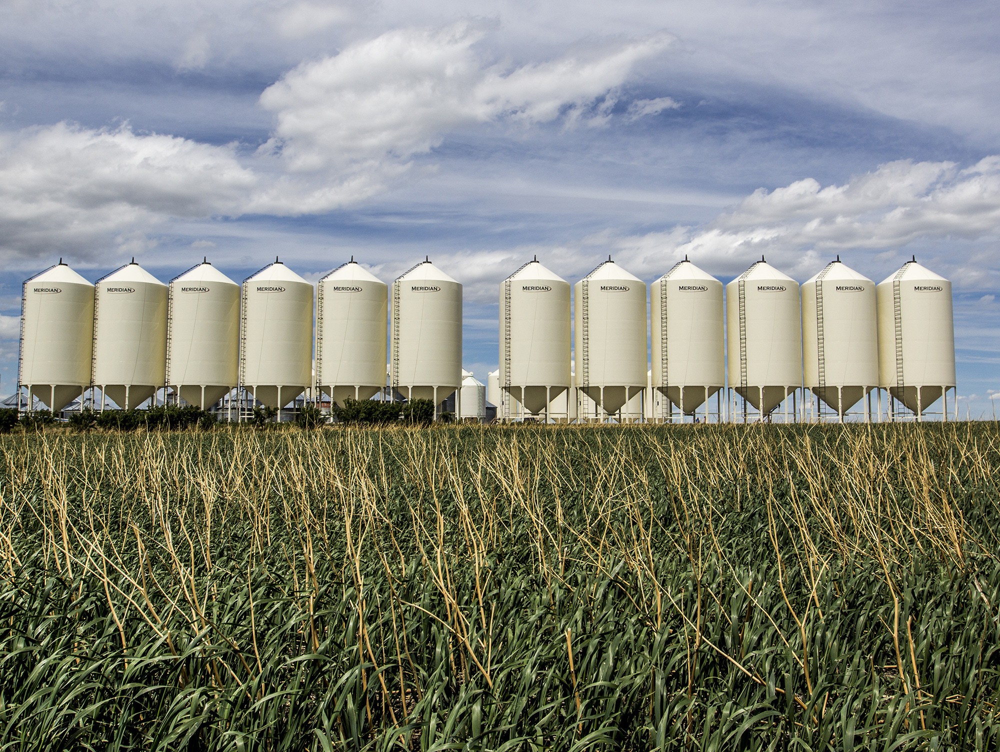Marigian Manufacturing:Superior Grain Protection